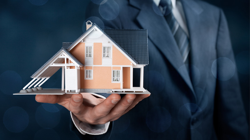 24 rentas en 12 meses